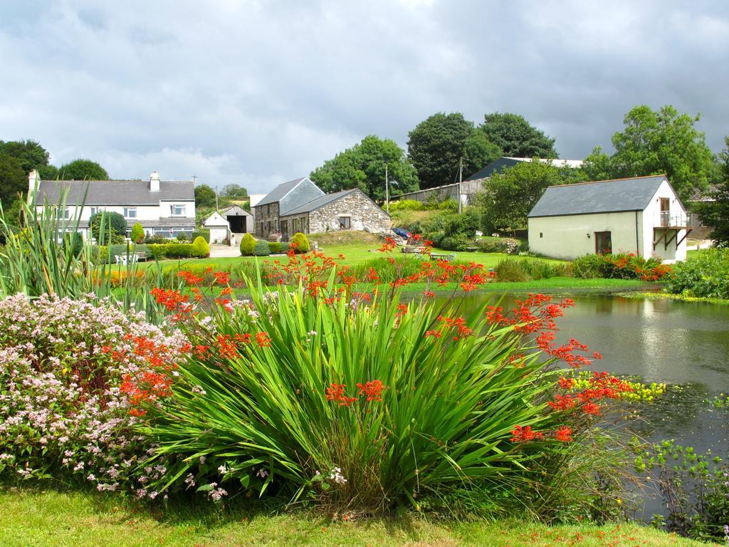 Polhilsa Farm Bed & Breakfast Callington Bagian luar foto