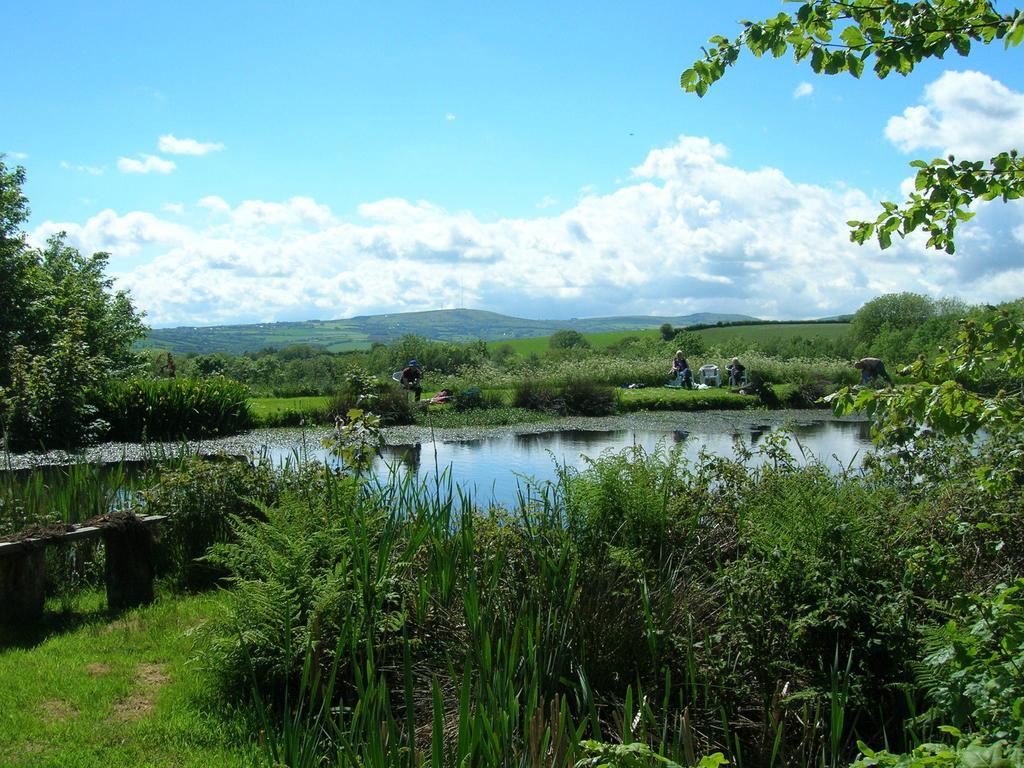 Polhilsa Farm Bed & Breakfast Callington Bagian luar foto
