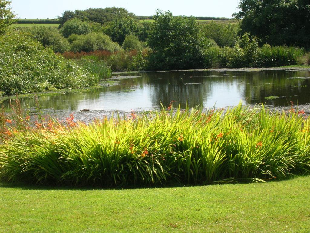 Polhilsa Farm Bed & Breakfast Callington Bagian luar foto
